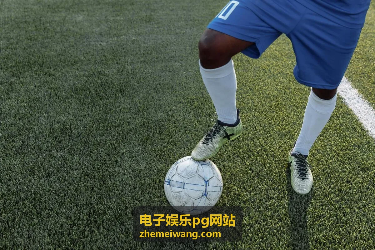 电子娱乐pg网站移动端客户端权限与版本要求配图