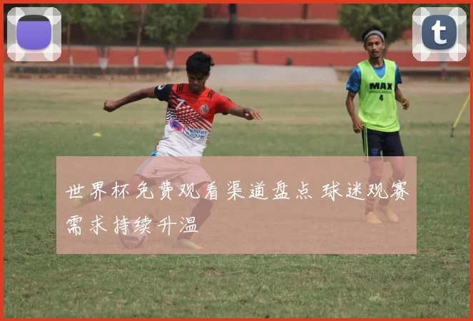 世界杯免费观看渠道盘点 球迷观赛需求持续升温