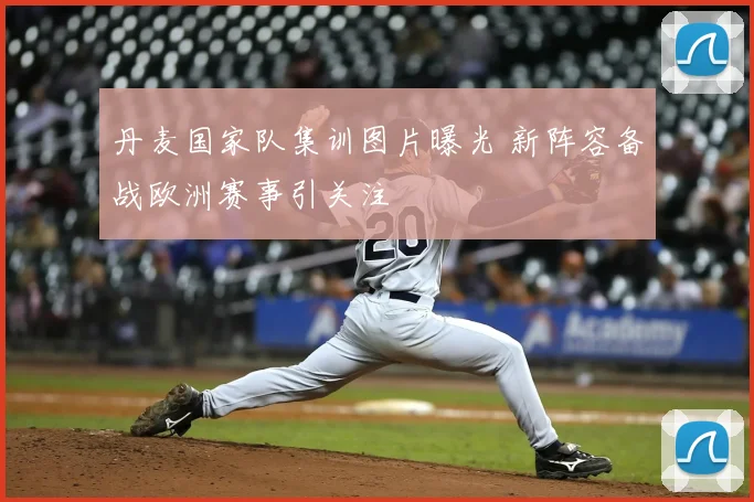 丹麦国家队集训图片曝光 新阵容备战欧洲赛事引关注