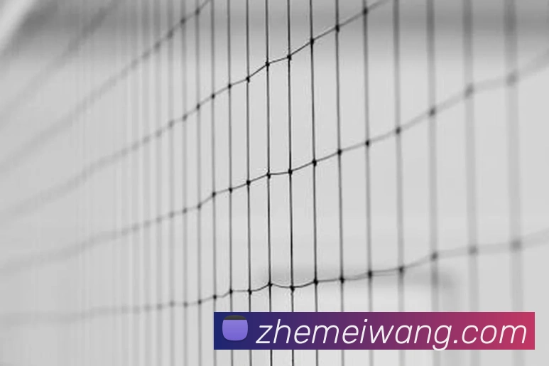 必威betway的信誉评级APP 体育赛事宣传图